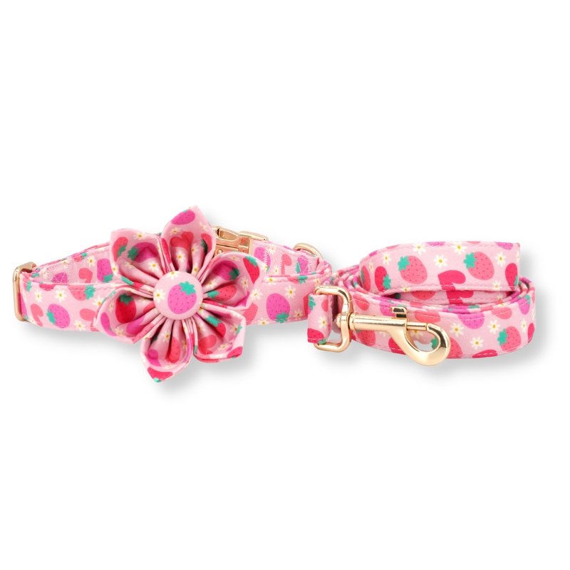 Strawberry Shortcake Flower Unbreakable Collar™ & Leash Set