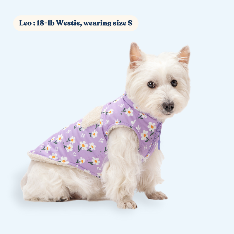 Cute Doggie Clothes, Beautiful Girly Dog Jacket, Reversible Cozy Warm Fleece Dog Vest
