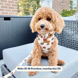Pumpkin Signature Bloomtie™ - Mega Bundle