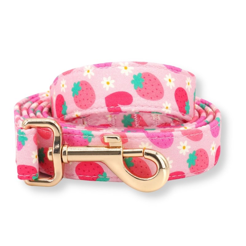Strawberry Shortcake Bowtie Unbreakable Collar™ & Leash Set