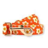 Tangerine Dreams Joyline™ Leash – 100 % Cotton Shell