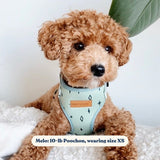 Teal Stars AllSet™ Harness Matching Bundle