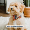 customized dog collars with bow for girls and boys - male female dog bow ties