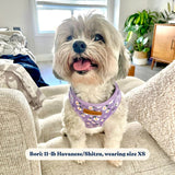 Purple Daisy AllSet™ Harness – Adjustable Bliss
