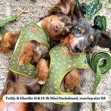 Playground Mega Bundle - bundle - Sniff & Bark