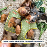 Playground Bundle - bundle - Sniff & Bark