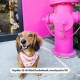 Peach Blush AllSet™ Harness Matching Bundle