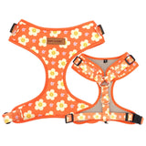 Tangerine Dreams AllSet™ Harness – Adjustable Bliss