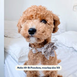 Lightnings Flower Mega Bundle - bundle - Sniff & Bark