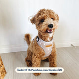Lightnings Flower Mega Bundle - bundle - Sniff & Bark