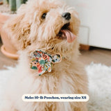 Morning Floral Signature Band™ + Slide-On Bloomtie™ + Joyline™