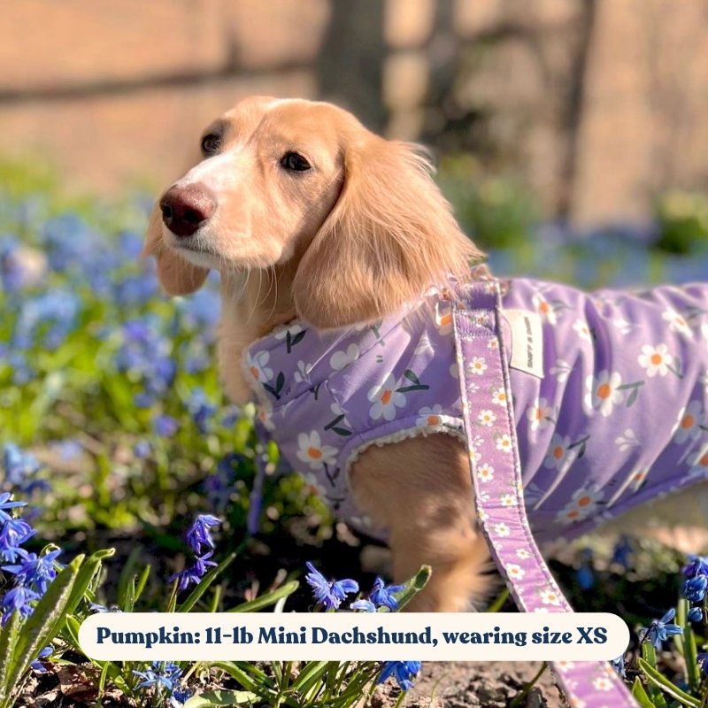Purple Daisy Reversible Cozy Fleece Vest
