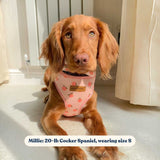 Peach Blush AllSet™ Harness Matching Bundle