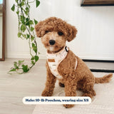Rainbows AllSet™ Harness – Adjustable Bliss