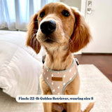 Lightnings Flower Mega Bundle - bundle - Sniff & Bark