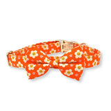 Tangerine Dreams Signature Band™ + Slide-On Dappertie™