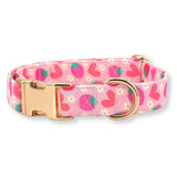 Strawberry Shortcake Signature Band™ + Slide-On Dappertie™ + Joyline™