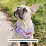 Purple Daisy AllSet™ Harness – Adjustable Bliss