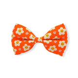 Tangerine Dreams Dappertie™ – Sleek Slide-On Bowtie