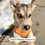Ambar Suns AllSet™ Harness Matching Bundle