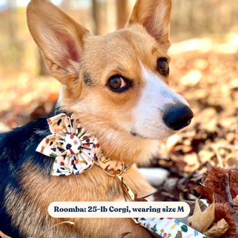 Dog Collar for Girl Dog,Flower Female Dog Collar Puppy Collar Floral  Pattern Dog Collar Cute Dog Collar with Detachable Flower Decoration  Adjustable