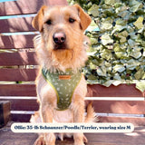 Playground AllSet™ Harness – Adjustable Bliss