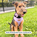 Purple Daisy AllSet™ Harness – Adjustable Bliss
