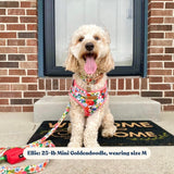 Morning Floral AllSet™ Harness – Adjustable Bliss