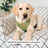 Playground AllSet™ Harness – Adjustable Bliss