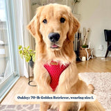Red Polka Dot AllSet™ Harness – Adjustable Bliss