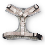 Lightnings Harness - harness - Sniff & Bark