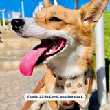 Pumpkin Flairtie™ Bandana – 100% Cotton