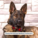 customized dog collars with bow for girls and boys - male female dog bow ties