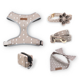Lightnings Flower Mega Bundle - bundle - Sniff & Bark