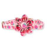 Strawberry Shortcake Signature Band™ + Slide-On Bloomtie™ + Joyline™