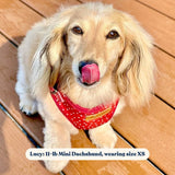 Red Polka Dot AllSet™ Harness – Adjustable Bliss