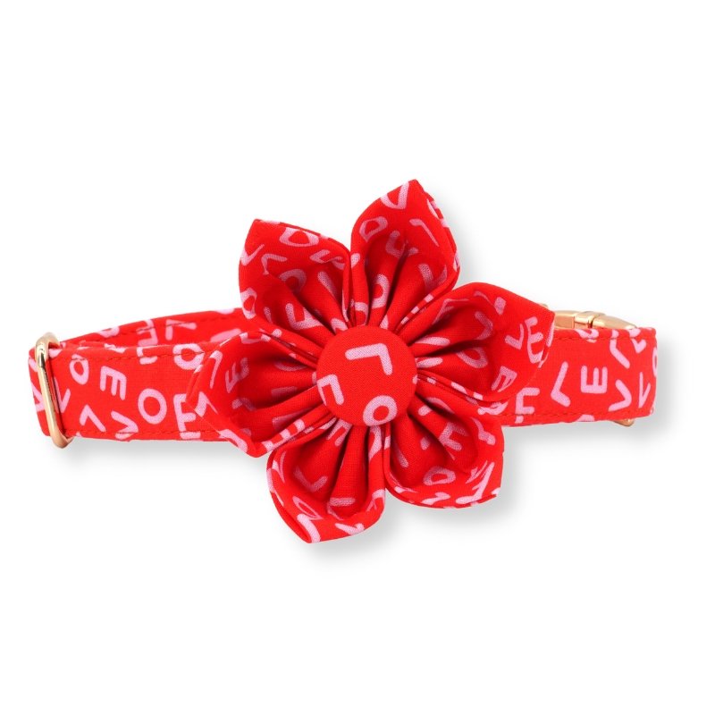 Love Letters Flower Unbreakable Collar™ & Leash Set