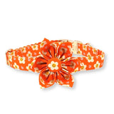 Tangerine Dreams Signature Band™ + Slide-On Bloomtie™