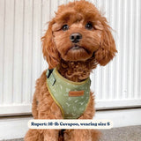 Playground AllSet™ Harness – Adjustable Bliss