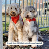 Coral Fetch Flairtie™ Bandana – 100% Cotton