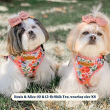Morning Floral Signature Bloomtie™ - Mega Bundle