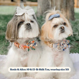 Morning Floral Signature Band™ + Slide-On Bloomtie™ + Joyline™
