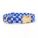 designer dog collars