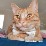 Bow Tie For Dogs Boys and Girls - Rainbow Design Bow tie