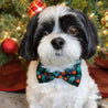 Waterproof dog bow tie  collar for boys and girls - dog bow tie collar pattern