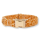 personalized dog collars for boys and girls - best dog collars canada - puppy dog collars