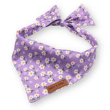 Best Cute Puppy Bandanas for Dogs Girls and Boys - Dog Bandanas Canada - Daisy Pattern Bandana