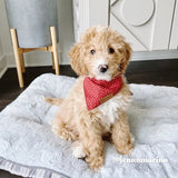 Best Dog Bandanas for Girls and Boys - Cute Puppy Bandanas - Dog Bandanas Canada - Red Polka Dot Pattern Bandana 
