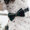 Dog bow tie collars Canada for girls and boys - Custom dog bow tie collar - Plaid bow tie collar 