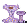 best dog harness for walking - Floral pattern harness for dogs boys and girls - Purple harness for puppy